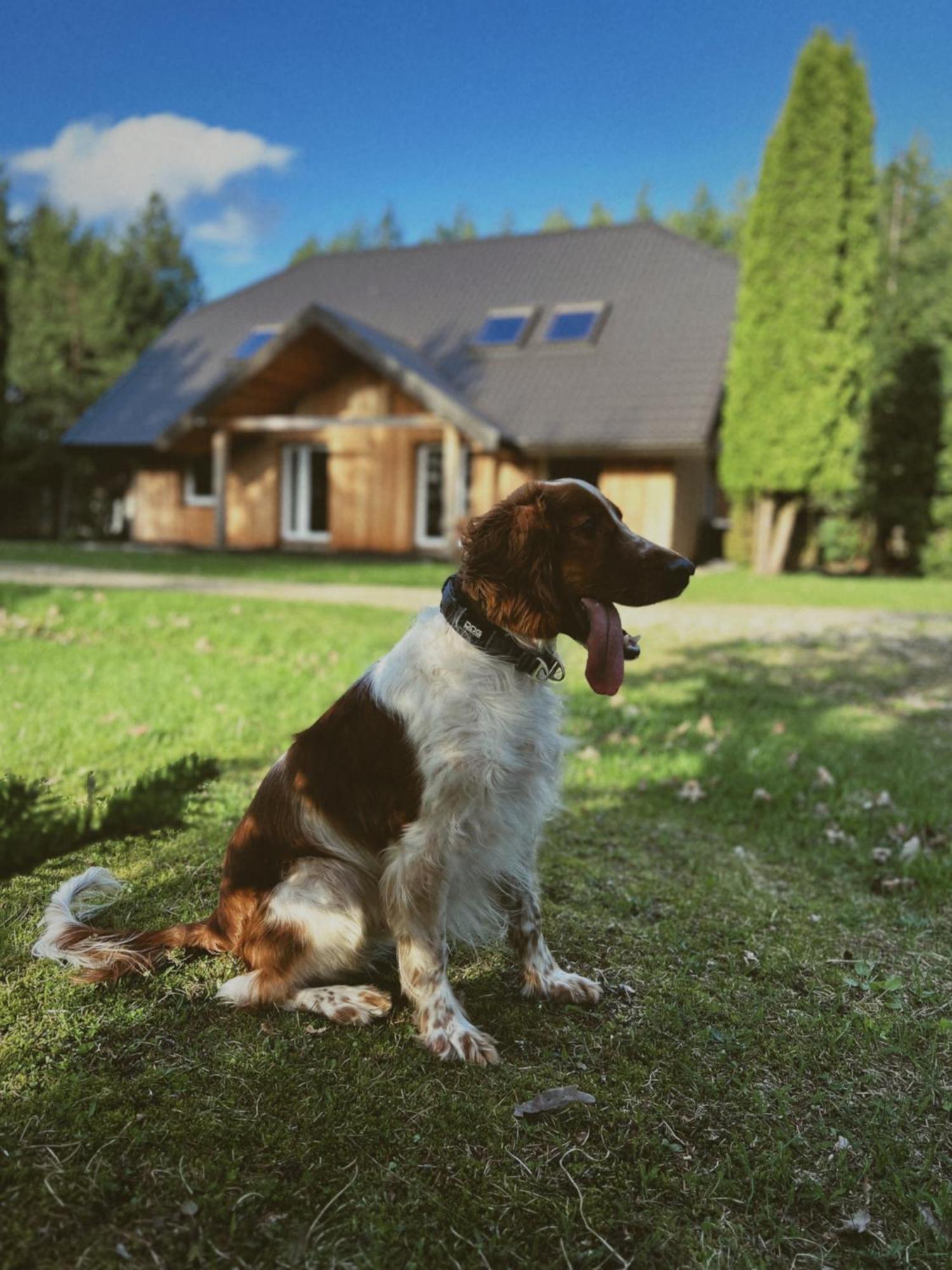 Pakaso Sodyba Kirdeikiai Exterior foto